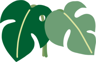 boho monstera leaf dibujo a mano alzada diseño plano. png