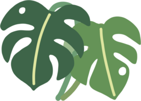 boho monstera leaf dibujo a mano alzada diseño plano. png