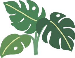 boho monstera blad uit de vrije hand tekenen plat ontwerp. png