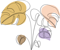 simplicidad planta monstera dibujo lineal continuo a mano alzada png