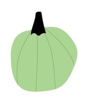 símbolo de agricultura de planta de calabaza de otoño. decoración de otoño comida fresca y saludable. vector