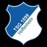 Frankfurt am Main, Germany - 10.23.2022 Logo of the German football club Hoffenheim. Vector image.