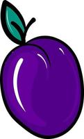 Flat plum, illustration, vector on white background.