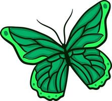 Green butterfly , illustration, vector on white background