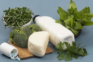 main sources of calcium for the body to help fight osteoporosis, photo