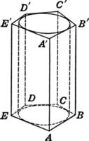 Cylinder Inscribed in Pentagonal Prism vintage illustration. vector