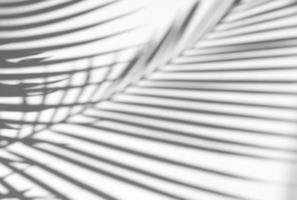 Tropical palm leaves natural shadow overlay on white texture background, for overlay on product presentation, backdrop and mockup, summer seasonal concept photo