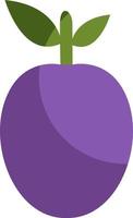 Purple plum, illustration, vector on a white background.