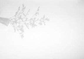 flor en la superposición de sombra de tarro sobre fondo de textura blanca, para superposición en la presentación del producto, fondo y maqueta, concepto de temporada de verano foto