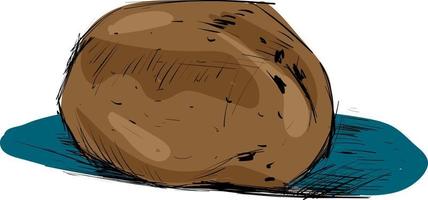 Drawing of potato, illustration, vector on white background.