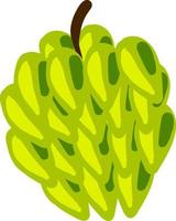 Green fresh cherimoya, illustration, vector on white background.