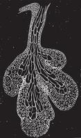 Sebaceous Gland from Human Skin, vintage illustration. vector