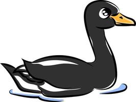 Cute black swan, illustration, vector on white background.