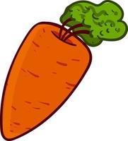 Orange carrot, illustration, vector on a white background.