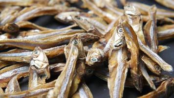 Close up shot of dried fish video