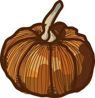 mini calabaza, ilustración, vector sobre fondo blanco