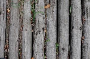 wooden background pattern for crafts or abstract art texture photo