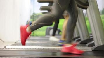 Close up of feet of runners in motion jogging on treadmills at the gym. video