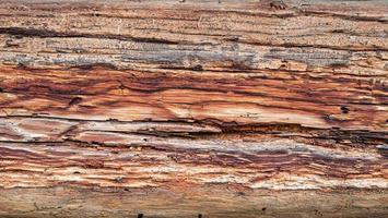 wooden background pattern for crafts or abstract art texture photo