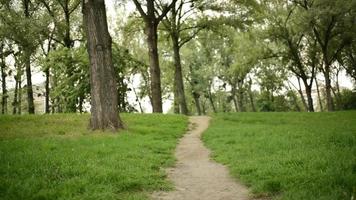 kvinna springer i parken video