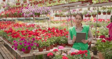 Floristenfrau mit digitalem Tablet, die sich um Blumen in einem Gartencenter kümmert video