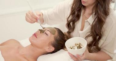 Woman Getting A Facial Mask With Seaweed Mud At The Beauty Salon video