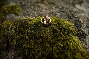 dos anillos de boda en el suelo con contraste foto