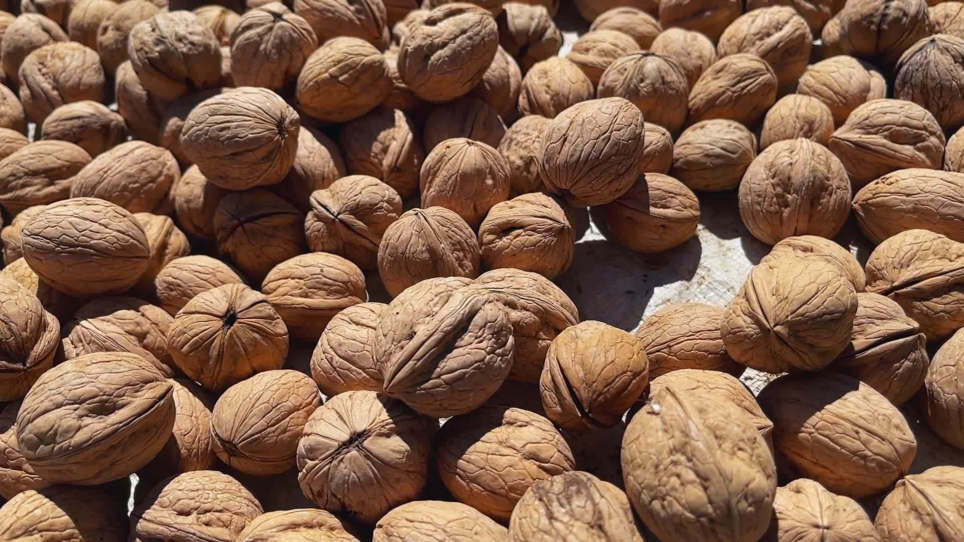 Organic and Delicious Full of Energy Walnuts 13749369 Stock Video at