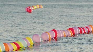 divertidos globos de colores nadando en el agua del mar video