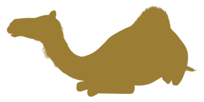 silueta de camello para logotipo, pictograma, sitio web, aplicaciones, ilustración de arte o elemento de diseño gráfico. formato png