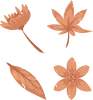 set of wilted leaves withered dry plant or flower element floral illustration png