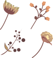 conjunto de hojas de plantas secas y patrón floral de flores o ilustración de elemento de marco png