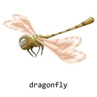 Vector image of a dragonfly in flight with the inscription. Cartoon. EPS 10