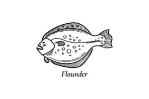 Flatfish. Ink sketch of flounder. Hand drawn fish vector illustration isolated on white background.