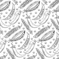 Hand drawn seamless pattern with pea. Monochrome background with green beans in sketch style. Vector illustration