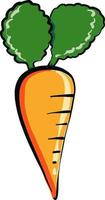 Small carrot , illustration, vector on white background