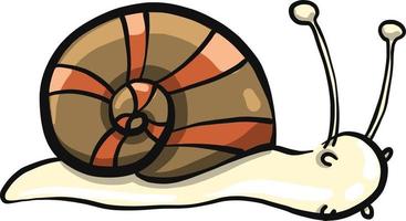 caracol pequeño, ilustración, vector sobre fondo blanco.