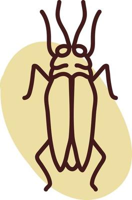 Cockroach bug, illustration, vector, on a white background.