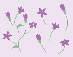 Set of campanula design elements. Wildflowers in flat style. vector