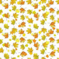 Beautiful seamless autumn pattern with watercolor colorful maple leaves. vector