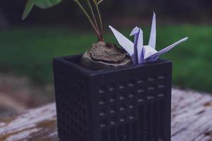 The origami bird is believed to be a sacred bird and a symbol of longevity, hope, good luck and peace photo