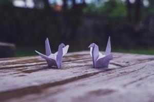se cree que el pájaro de origami es un pájaro sagrado y un símbolo de longevidad, esperanza, buena suerte y paz foto