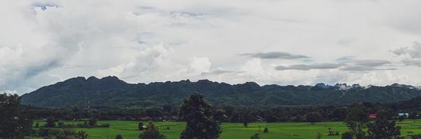 campo de arroz verde con fondo de montañas bajo el cielo azul, campo de arroz con vista panorámica. foto