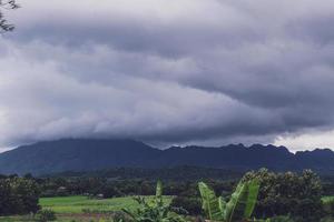 Green Rice Field with Mountains Background under Blue Sky, Panorama view rice field. photo