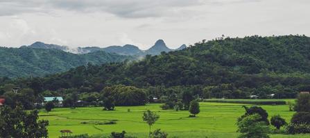 campo de arroz verde con fondo de montañas bajo el cielo azul, campo de arroz con vista panorámica. foto