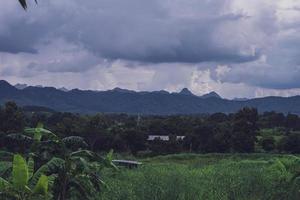 Green Rice Field with Mountains Background under Blue Sky, Panorama view rice field. photo