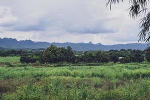 Green Rice Field with Mountains Background under Blue Sky, Panorama view rice field. photo