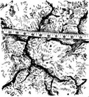 Cracks in the soil, vintage illustration. vector