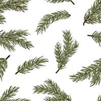 Set of conifer branches vector seamless pattern. Pine, spruce, cedar, larch, fir tree branches, winter nature texture for textile, print, card, christmas, greetings, wallpapers, background