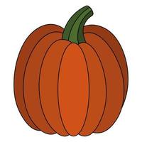 Pumpkin. Delicious vegetable.  Vegan food. Orange vegetable. Harvesting. Seasonal organic product. vector